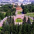Рубрика "Люблю ЧЕ". Алое поле